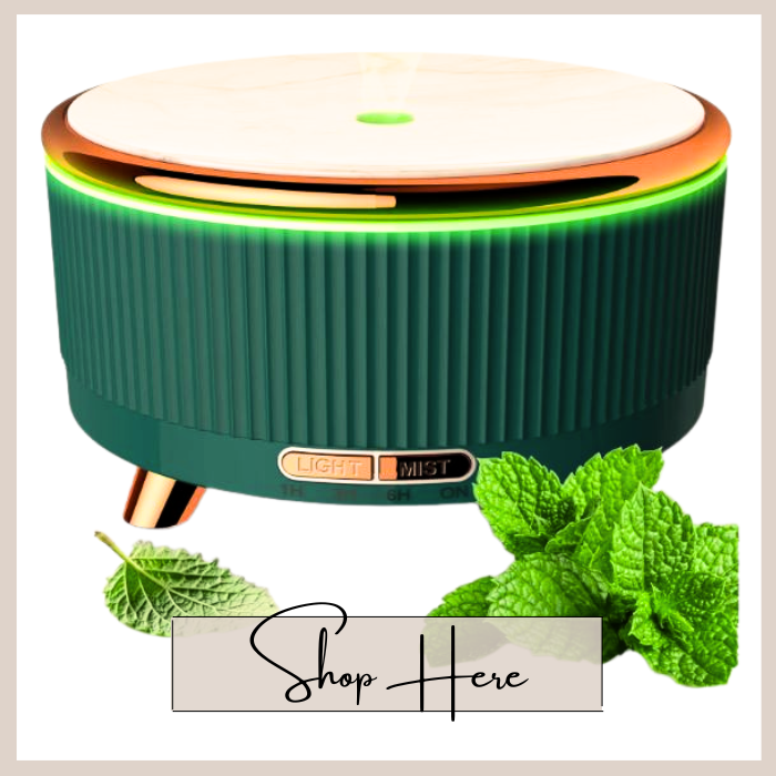 Diffuser Gift Set